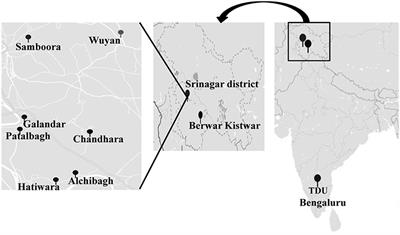 Diversity of Rhizo-Bacteriome of Crocus sativus Grown at Various Geographical Locations and Cataloging of Putative PGPRs